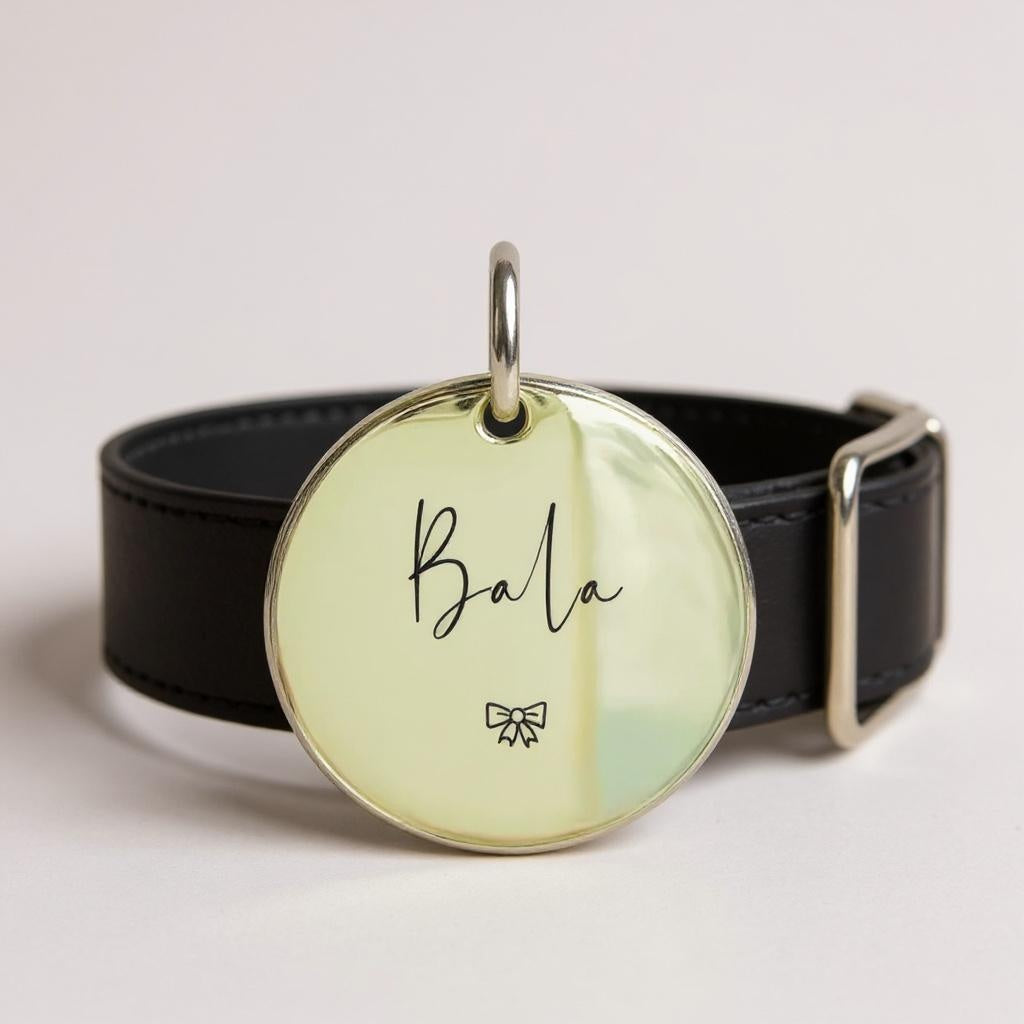 Médaillon personnalisé pour animaux